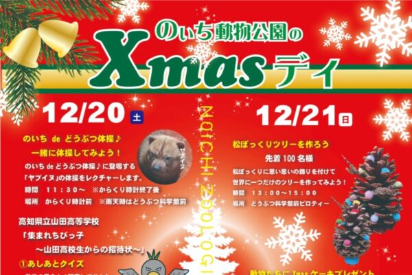 【2025年】香南市で「のいち動物公園のXmasデイ」｜12/20（土）は「どうぶつ体操」「あしあとクイズ」、12/21（日）は動物たちにクリスマスケーキをプレゼント