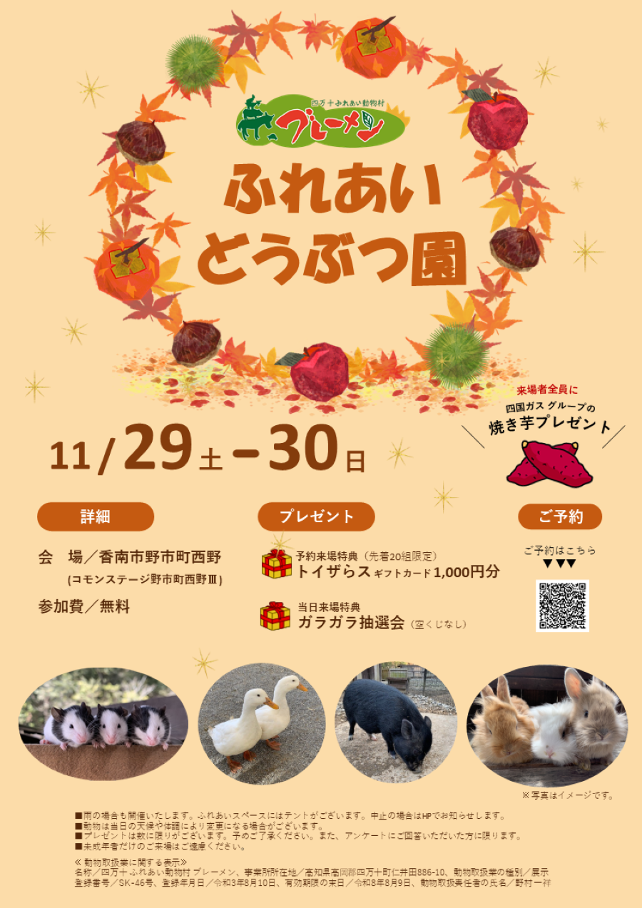 香南市で「ふれあいどうぶつ園」（コモンステージ野市町西野Ⅲ）｜ウサギ、アヒル、ミニブタ、ヒツジの散歩体験…動物たちと心温まるひとときを♪予約来場で「トイザらスギフトカード1000円分」プレゼント〈PR〉