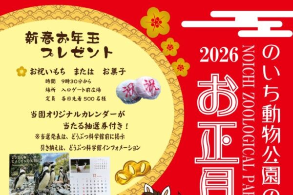 【2026年】香南市で「のいち動物公園のお正月」｜お祝い餅、お菓子をプレゼント！干支展「ほ～すごいぞ！馬の魅力」は1/12（月・祝）まで