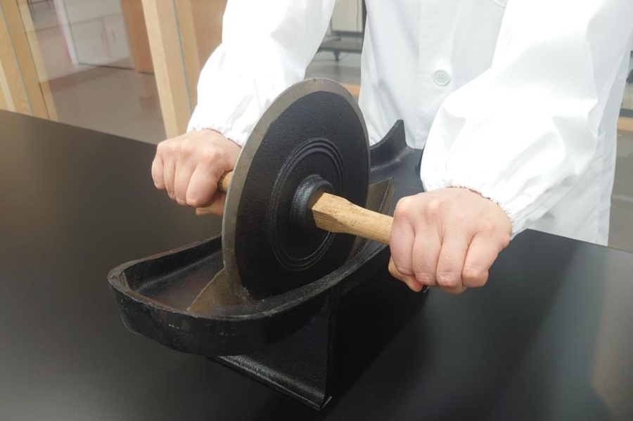 薬研での作業も体験（高知県立牧野植物園提供）