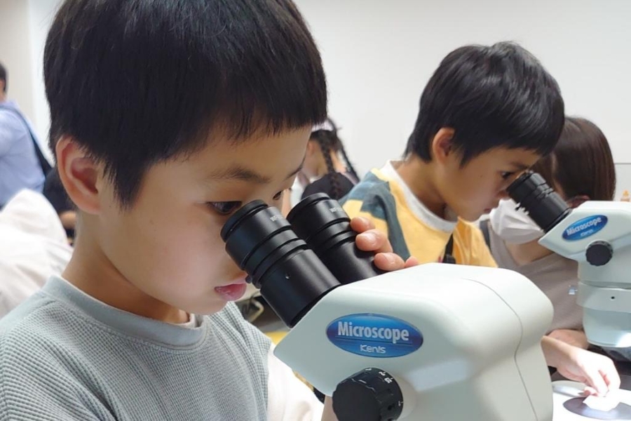 顕微鏡で観察します（高知県立牧野植物園提供）