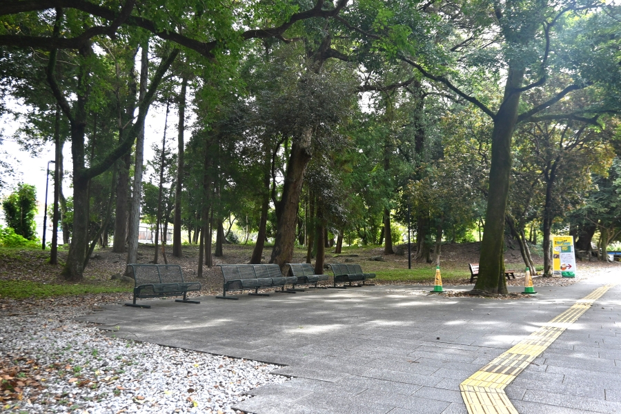 木々に囲まれた場所です