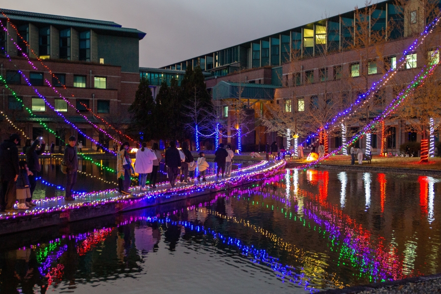 キャンパスイルミネーション（提供写真）