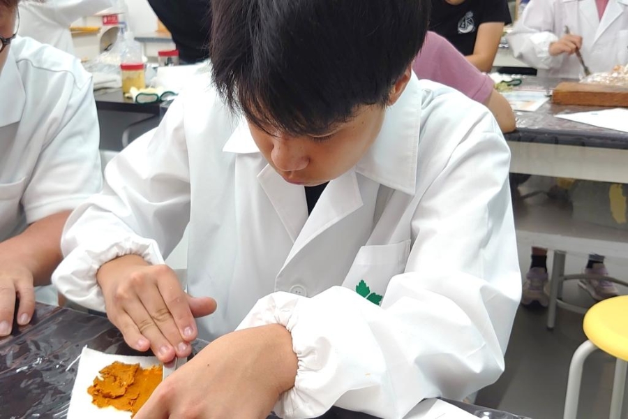 薬に使われてきた植物について学びます（高知県立牧野植物園提供）