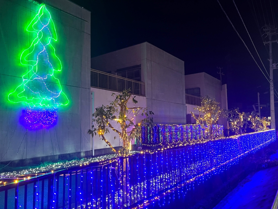 たのイルミ（2025年 撮影、提供写真）