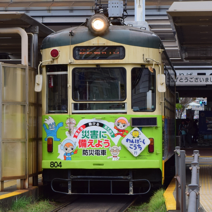 ※写真は主催者の提供です