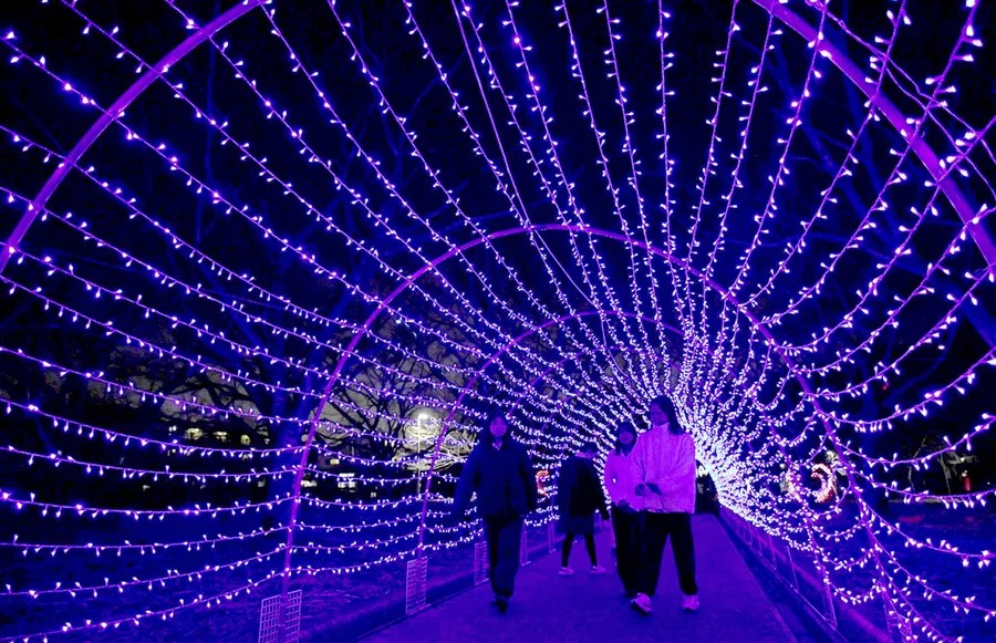 訪れた人をきらびやかに包む光のトンネル（高知新聞2025年12月17日掲載）