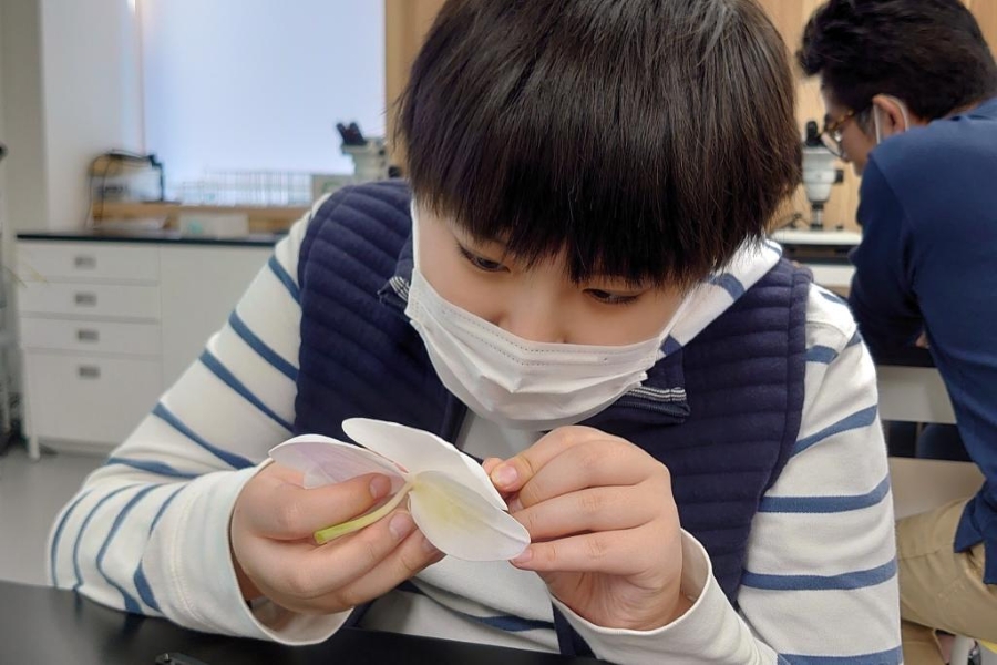 仕組みや特徴を学びます（高知県立牧野植物園提供）