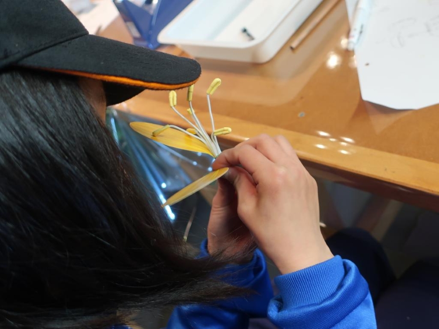 花の模型を作ります（高知県立牧野植物園提供）