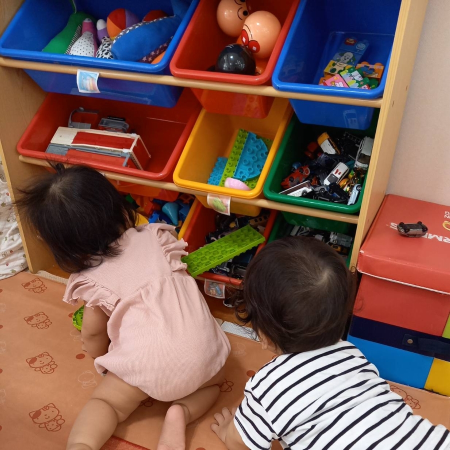 興味がわいたら引っ張り出すのが子どもです（いるかひろばの写真は本文とは関係ありません）