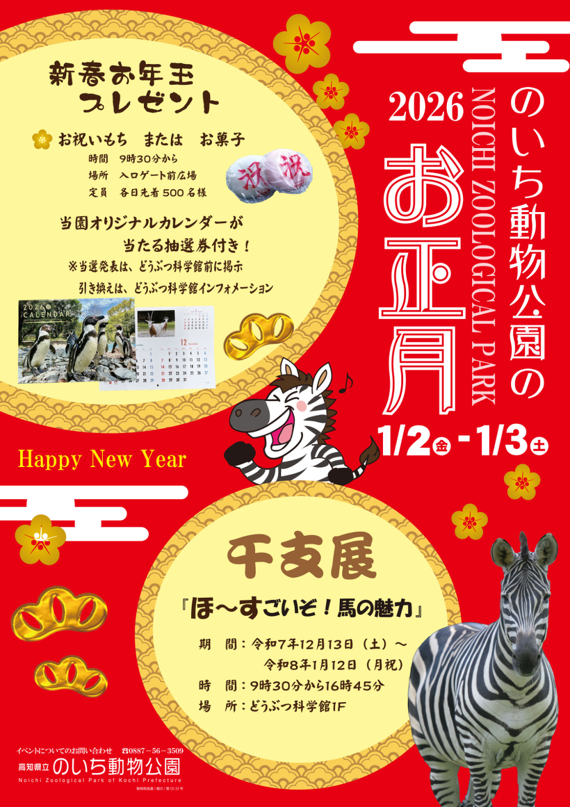 【2026年】香南市で「のいち動物公園のお正月」｜お祝い餅、お菓子をプレゼント！干支展「ほ～すごいぞ！馬の魅力」は1/12（月・祝）まで