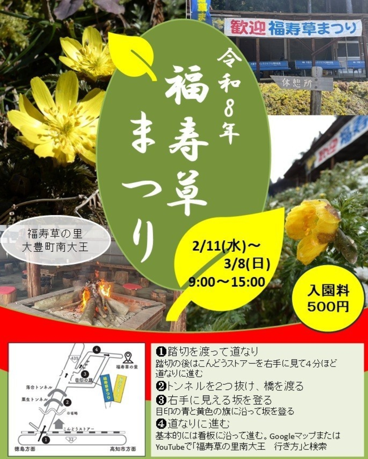 【2026年】大豊町で2/11～3/8に「福寿草まつり」（福寿草の里）｜幸せを招く「福寿草」を楽しみませんか？グルメも販売されます。