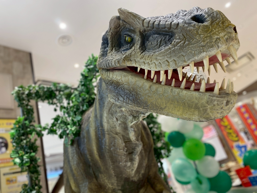 会場に恐竜が！
