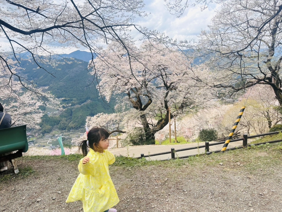 山道もずんずん歩きます