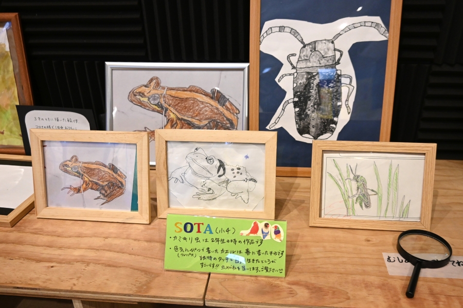 小学4年生の作品。カミキリ虫は2年生の時に描いたそうで、細かい！