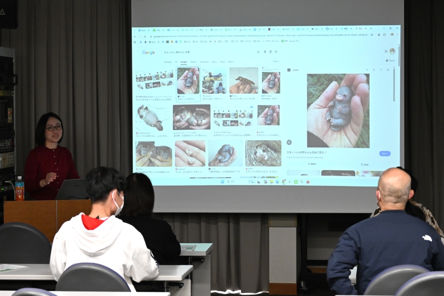 画面の右…本当にカモノハシ？