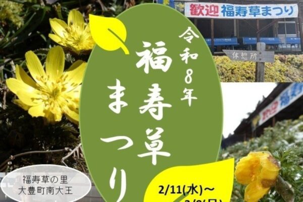 【2026年】大豊町で2/11～3/8に「福寿草まつり」（福寿草の里）｜幸せを招く「福寿草」を楽しみませんか？グルメも販売されます。