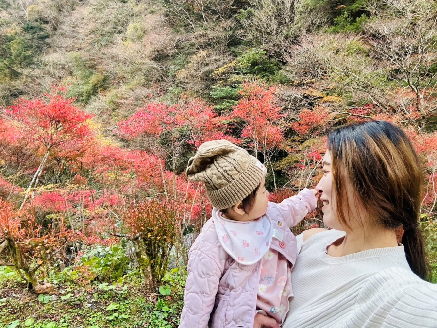 秋は紅葉を楽しんでいます