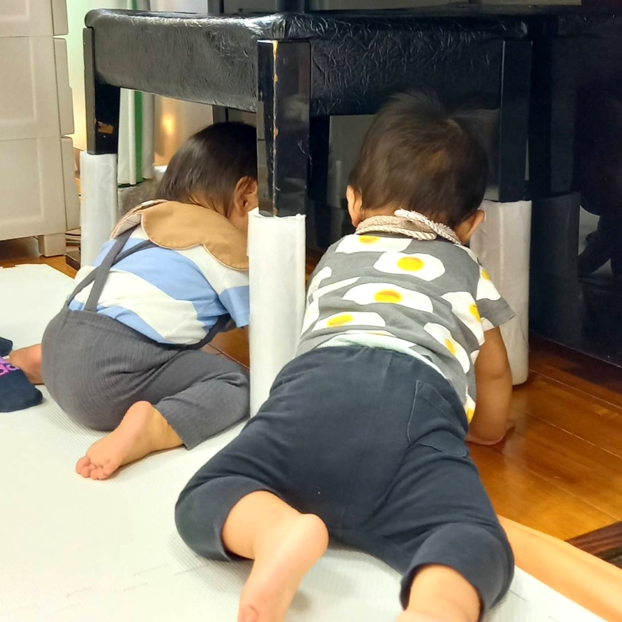 何か見つけた？