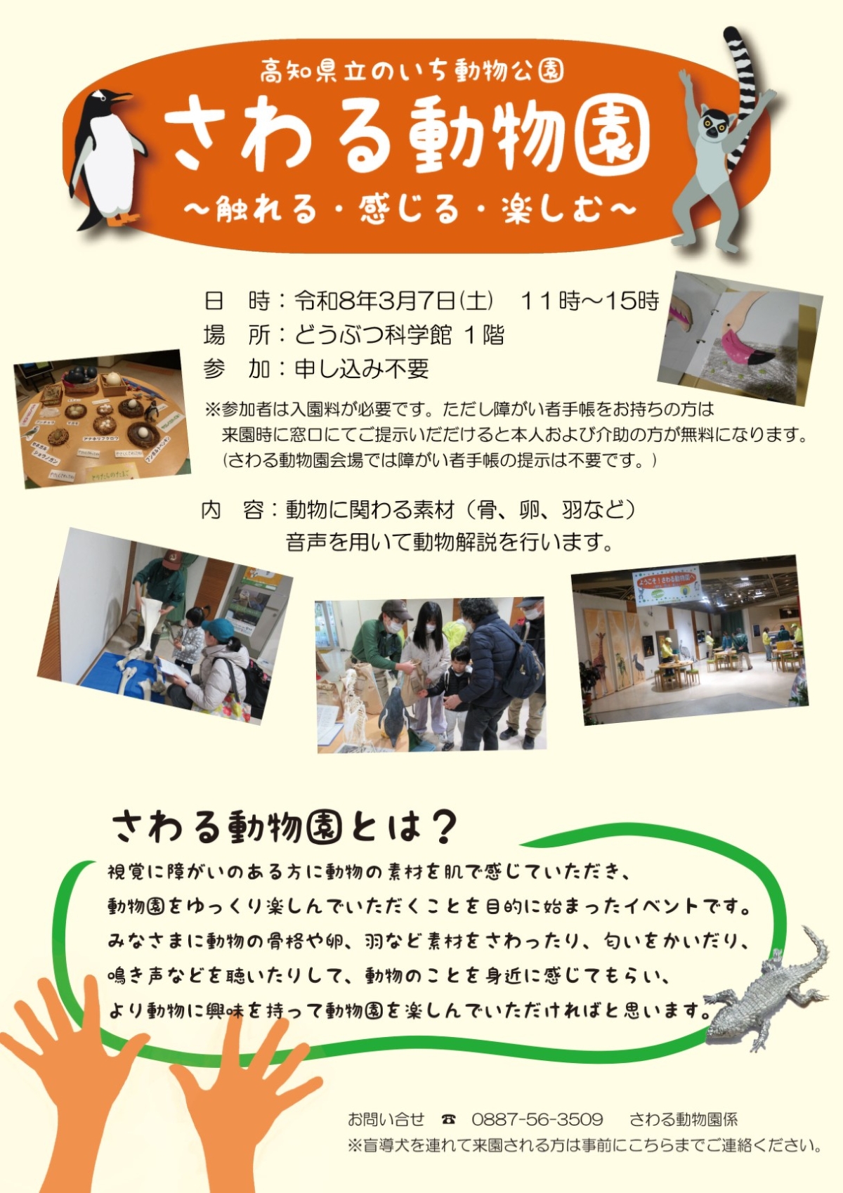 【2026年】香南市で3/7に「さわる動物園」（高知県立のいち動物公園）｜骨格や卵、羽を触る、においをかぐ、鳴き声を聞く…動物を身近に感じるイベントです