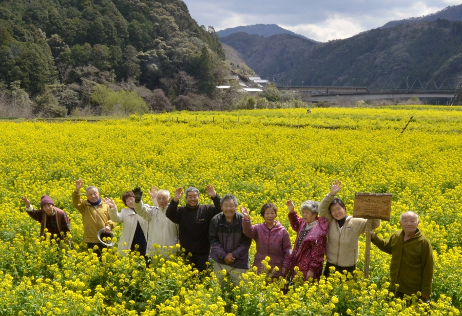 三島の菜の花畑。春先の四万十流域に彩りを添える（四万十町昭和、高知新聞2024年4月7日掲載）