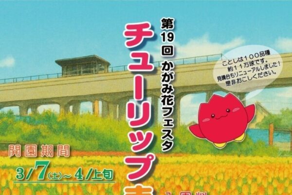 【2026年】香南市で3/7から「第19回かがみ花フェスタ　チューリップまつり」（かがみチューリップ園）｜100品種、約11万球のチューリップが楽しめます