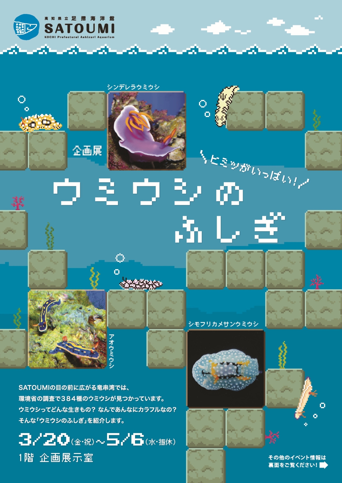 【2026年】土佐清水市の足摺海洋館「SATOUMI」で企画展「ウミウシのふしぎ」｜20種のウミウシの展示、GWまでサメの歯アクセサリー作りも楽しめます