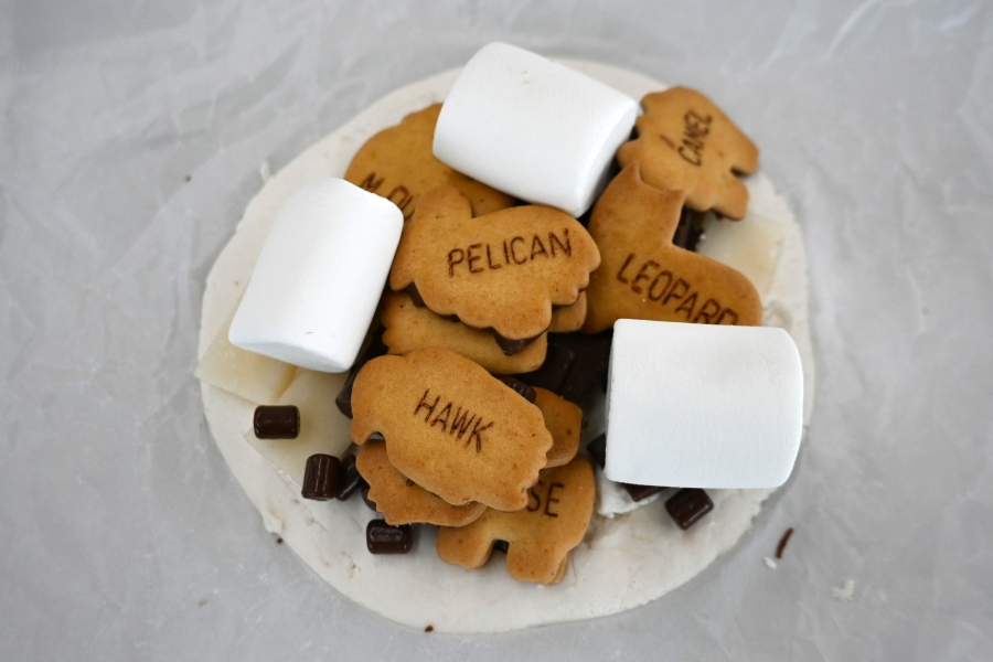 ピザの上に「たべっ子どうぶつ」が！！斬新！！