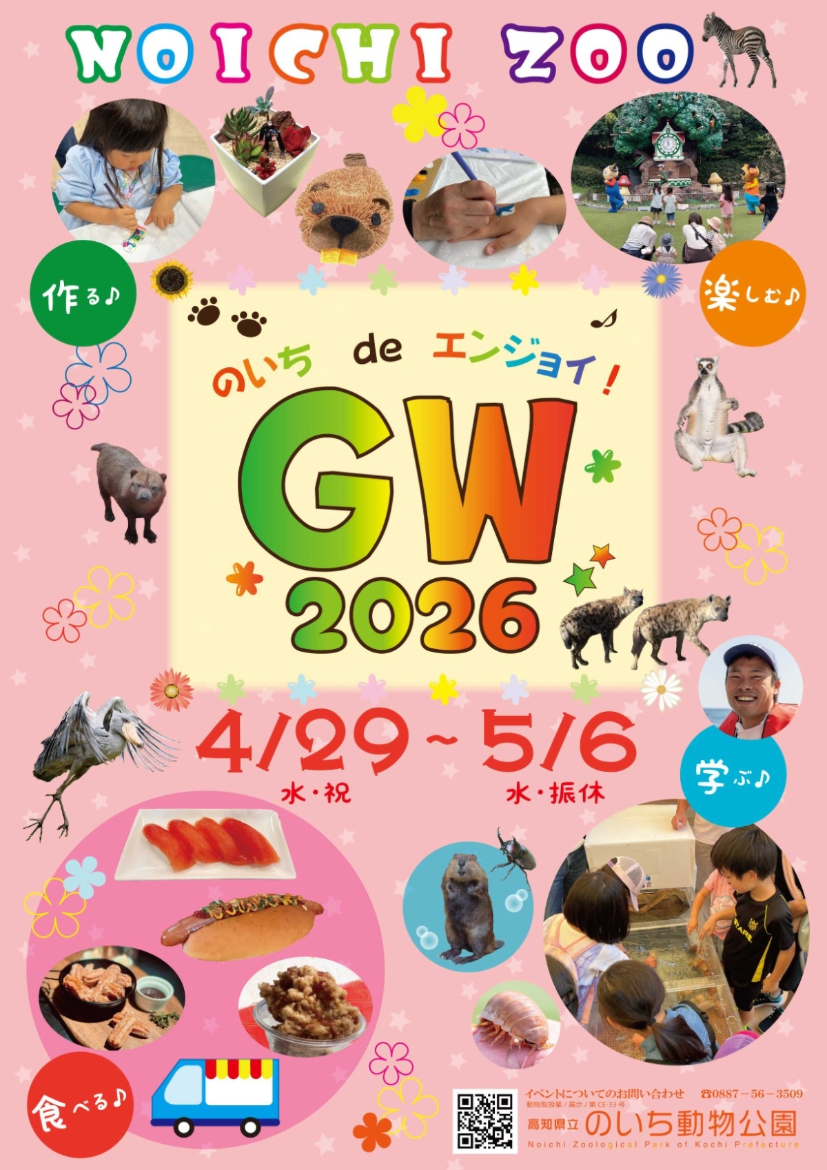 【2026年】香南市で4/29～5/6に「のいち de エンジョイ！ GW 2026」（高知県立のいち動物公園）｜カブトムシ教室、ワークショップ、グルメが楽しめます