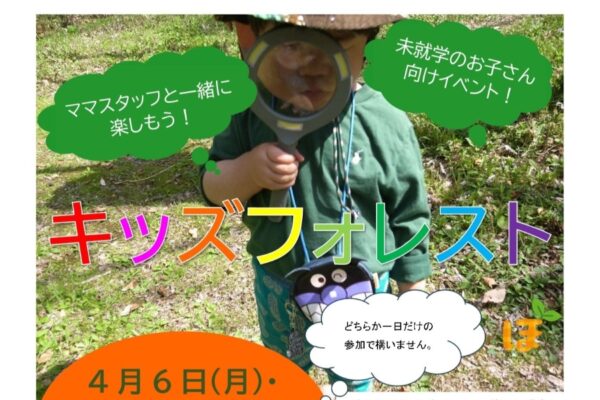 【2026年4月】香美市で「キッズフォレスト」（高知県立甫喜ケ峰森林公園）｜森の中で遊ぼう！未就学児とその家族が対象です