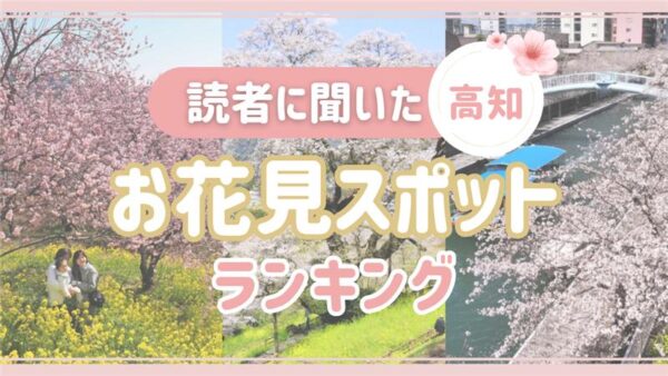 【2026年】桜の春！高知のお花見スポット決定版｜高知のママパパおすすめの桜スポットは？人気ランキング、穴場公園を一挙ご紹介！