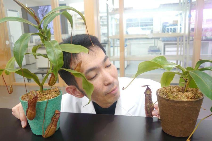 食虫植物が大好きな先生に挿し木の方法を教えてもらいます（高知県立牧野植物園提供）