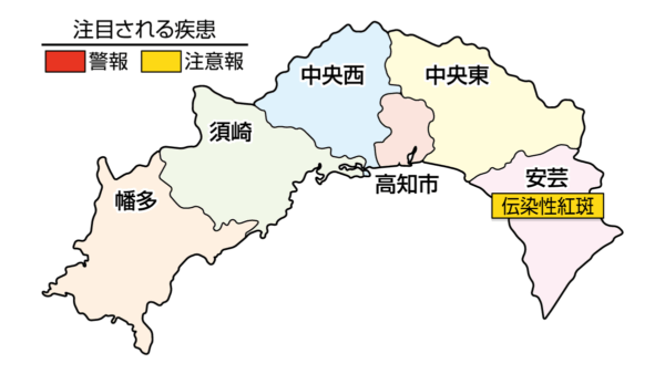 伝染性紅斑が安芸で注意報です｜高知県の感染症情報（2026年3月30日～4月5日）