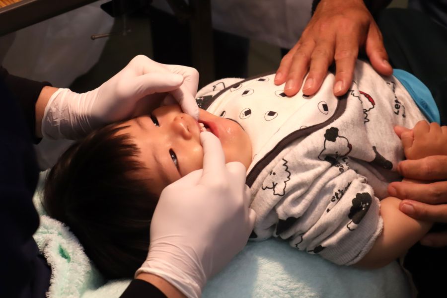 生えてきた歯をしっかりチェック