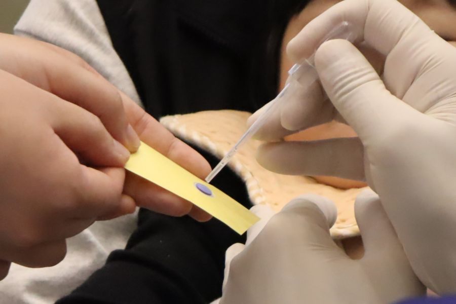 専用シートに垂らすと、15分で結果が出ます