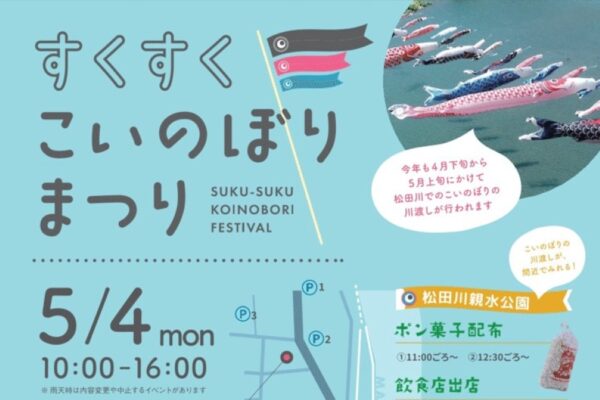 【2026年】宿毛市で5/4に「すくすくこいのぼりまつり」（宿毛まちのえき林邸など）｜こいのぼりのポンチョや母の日のカーネーション作り、昔遊び、グルメが楽しめます