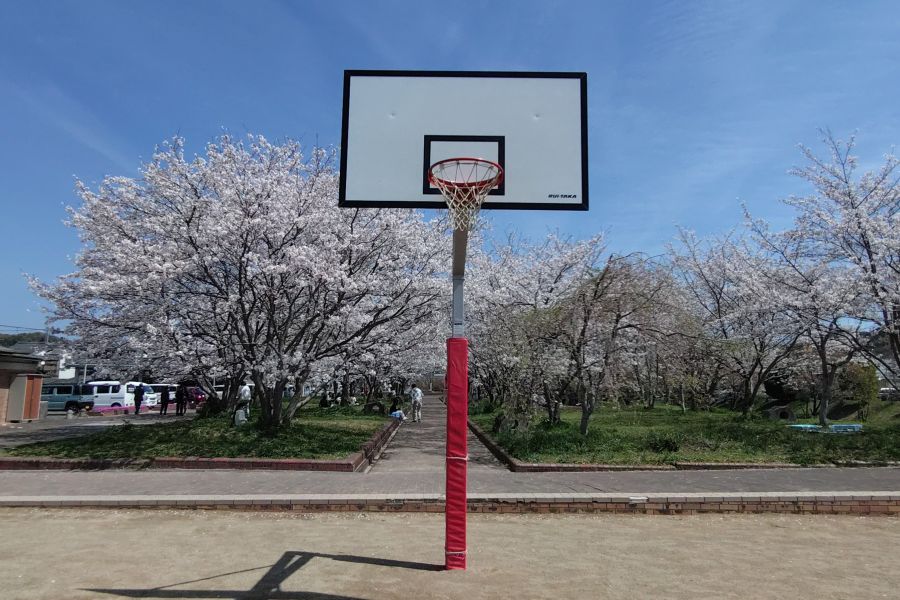 桜並木を抜けてすぐバスケットゴールがあります