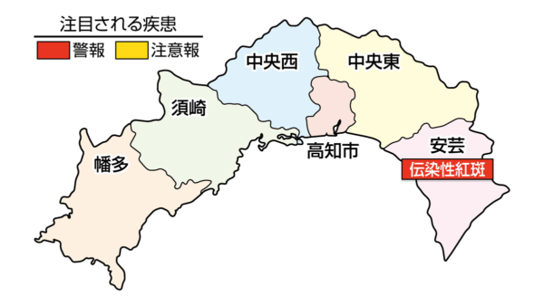 伝染性紅斑（リンゴ病）が安芸で警報です｜高知県の感染症情報（2026年5月11～17日）