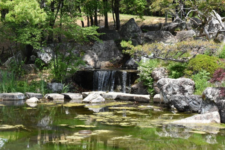 池の景色は風情たっぷり