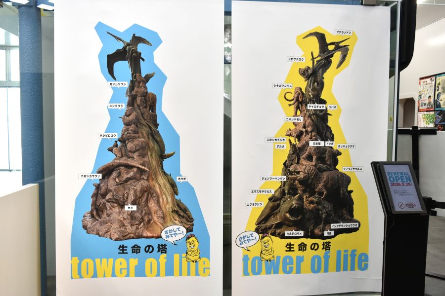 どこにどんな生き物がいるでしょう？