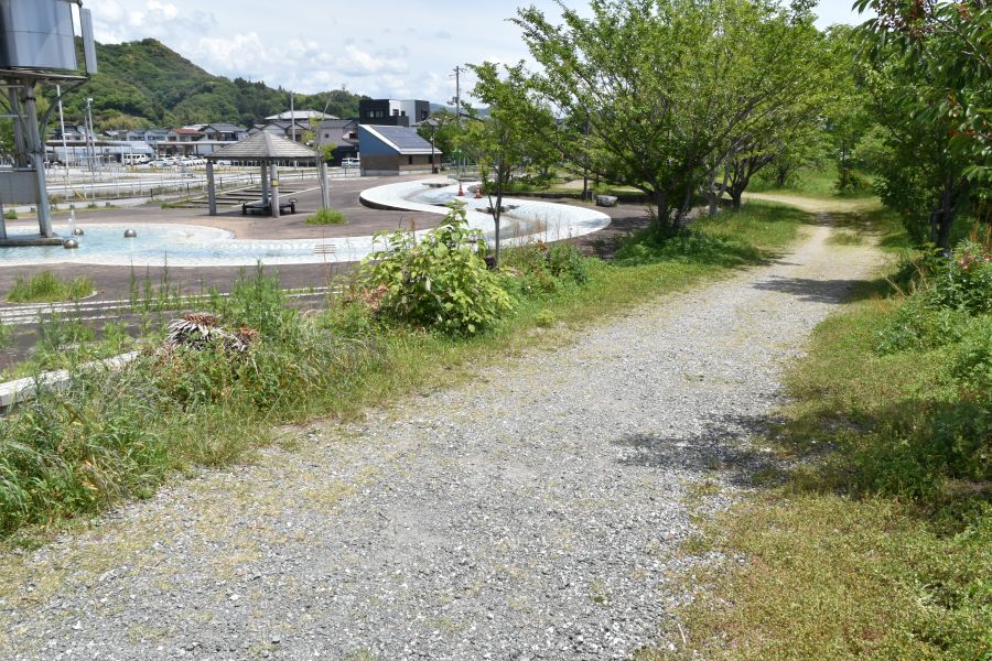 歩道が通っています