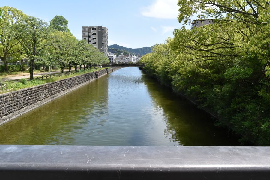 春は桜並木が楽しめます