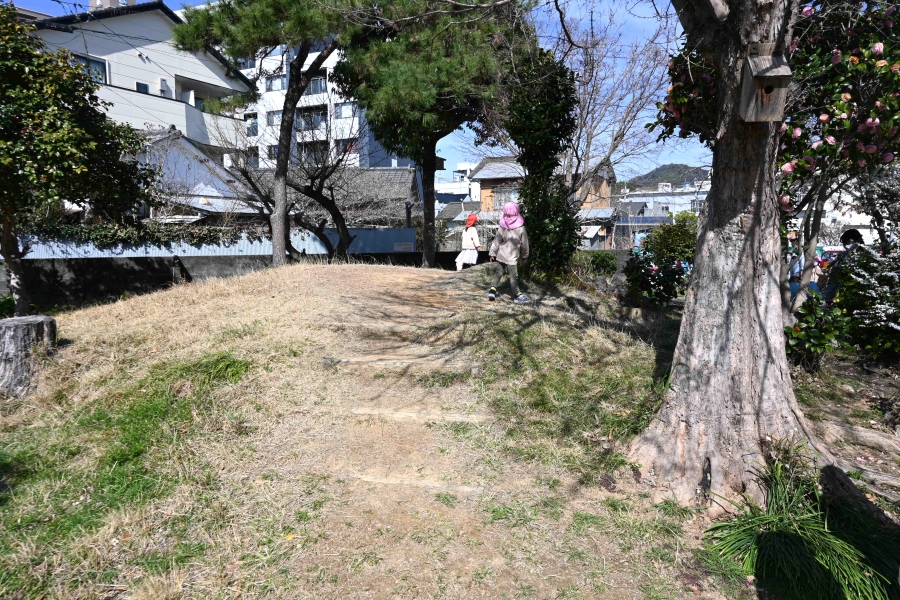 赤ちゃんのいい運動になりそう！