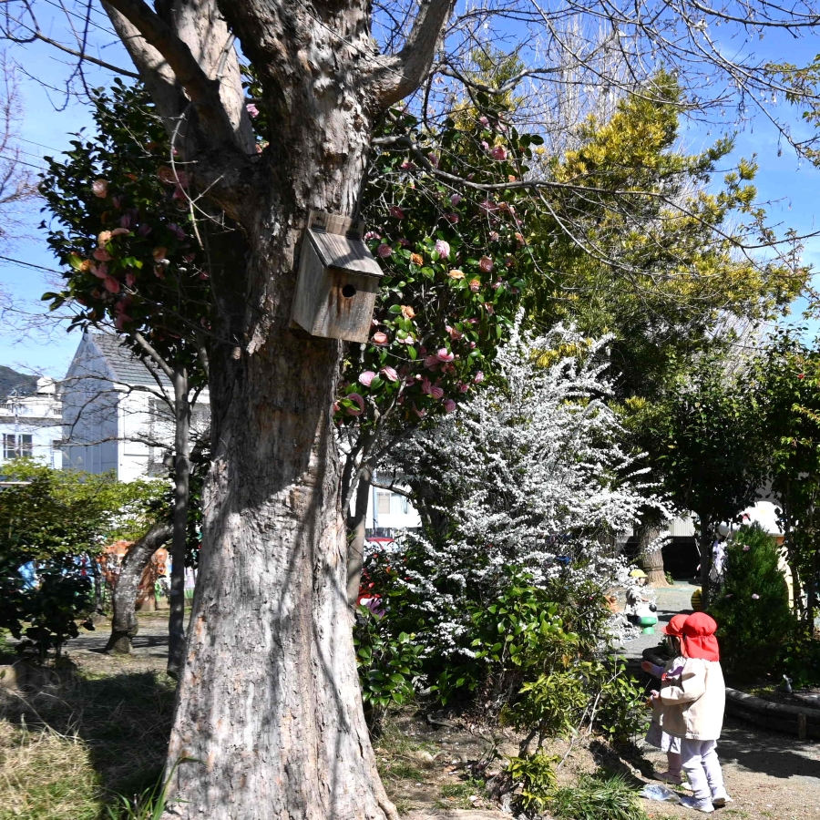 西側の園庭の先には「あいいくの森」