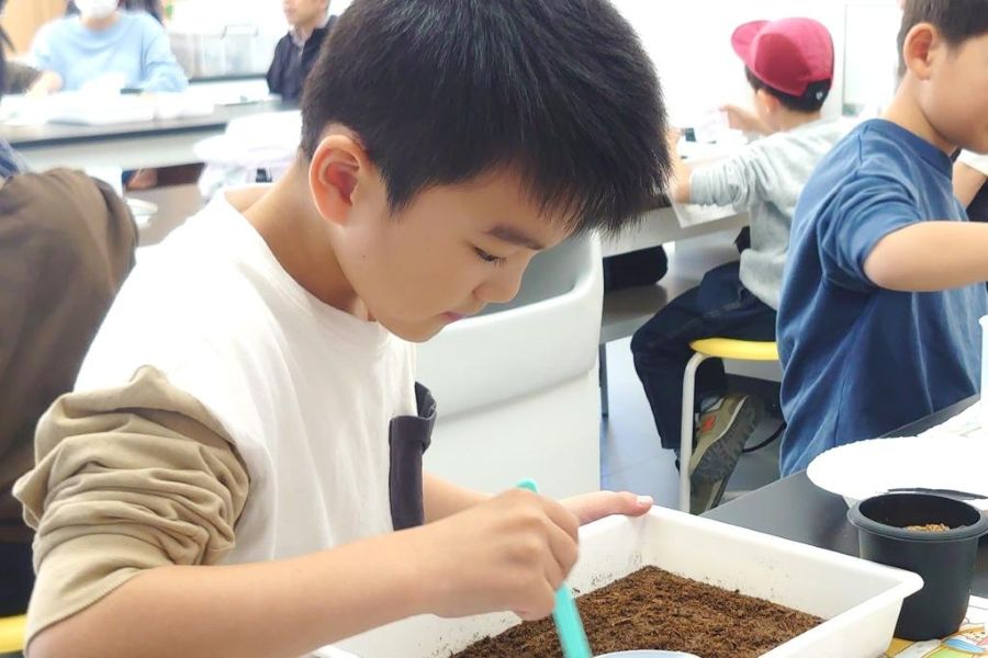 ラボで学んで作って、おうちで楽しみながら育ててもらいます（高知県立牧野植物園提供）