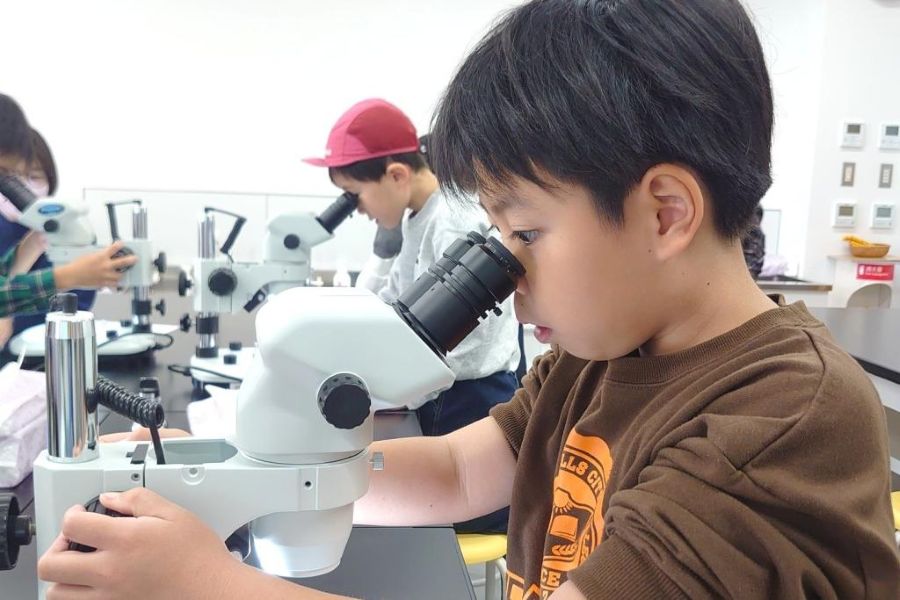 どうやって虫を捕まえるのかじっくり観察しよう！（高知県立牧野植物園提供）
