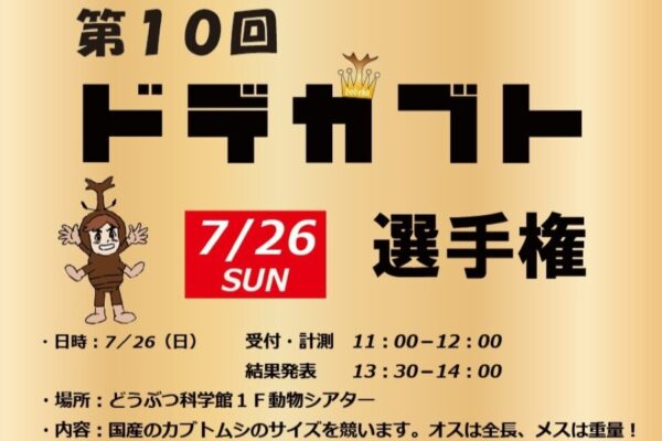香南市で7/26に「第10回ドデカブト選手権」（高知県立のいち動物公園）｜国産カブトムシのサイズを競います。オスは全長、メスは重量。誰でも参加できます