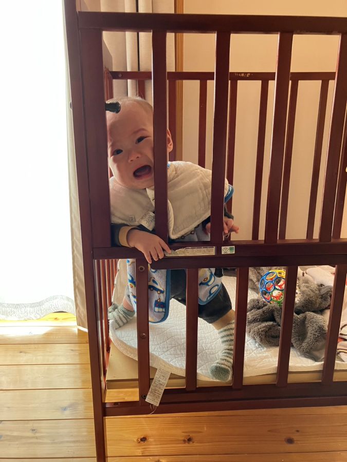 母の後追いにハマってます。ついでに柵にも顔がハマってます