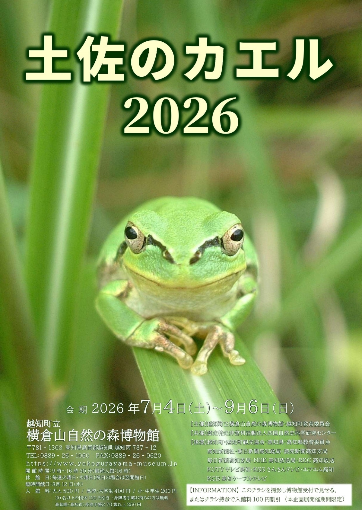 越知町で7/4から企画展「土佐のカエル2026」（横倉山自然の森博物館）｜カエルの実物標本、写真パネル、カエルグッズなどが展示されます。7/19（日）と8/16（日）は博物館教室もあります