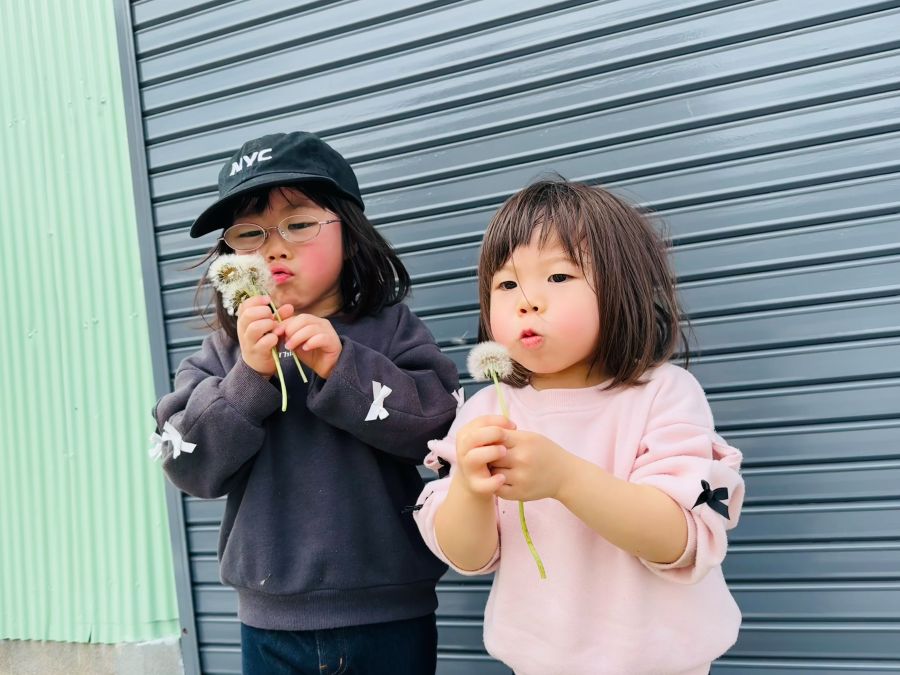 お散歩で、たんぽぽ探して吹くのにハマってます